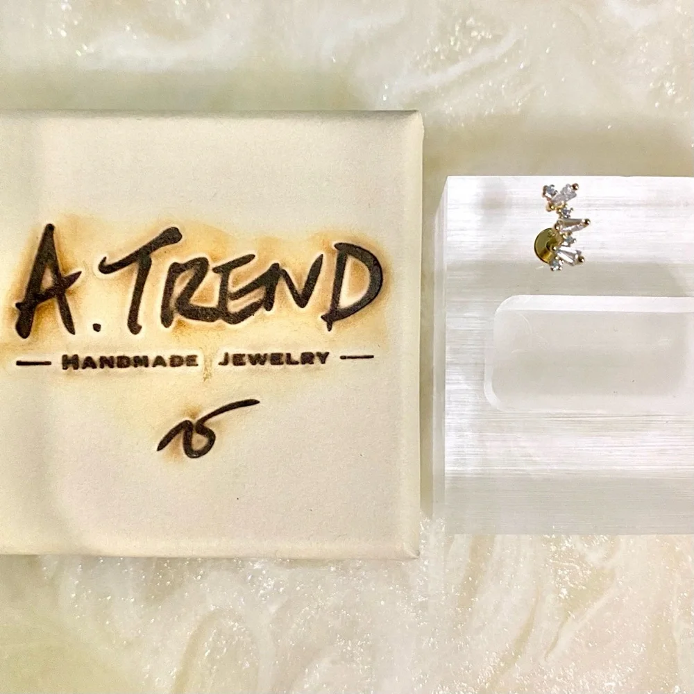 Elegant Gold and zircon cartridge Stud Earring